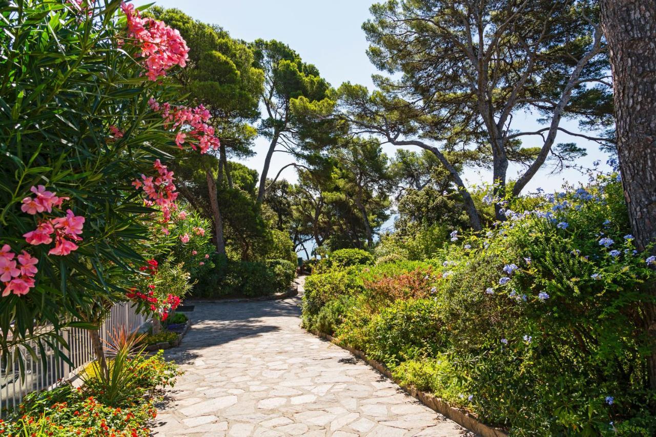 Parc Et Residence Le Provencal Hyeres Exterior photo